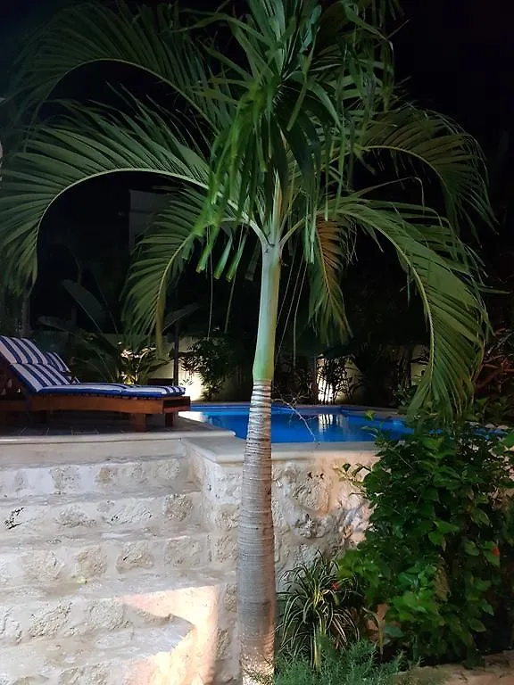 Villa Las Piedras 툴룸 아파트